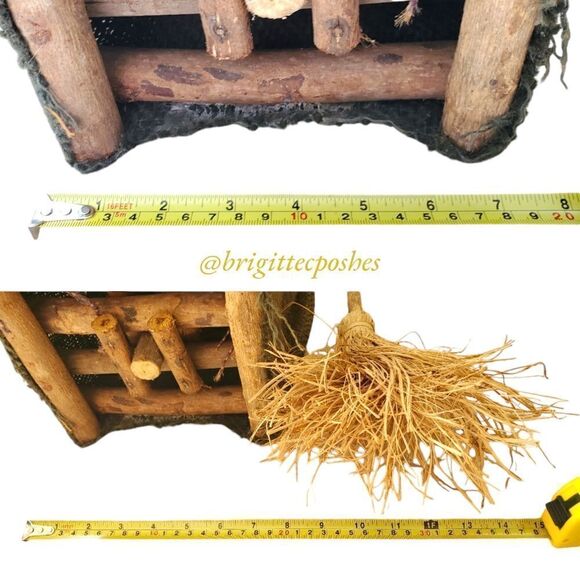 HALLOWEEN 27" Tall Witch with Broom Decoration - Picture 15 of 15